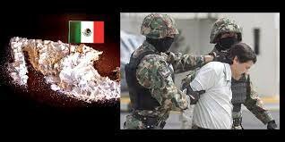 Articulo 18 Constitucional Reformado