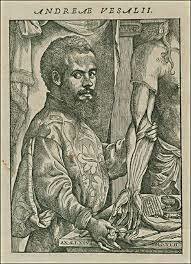 Andrea Vesalius