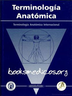 Comité Internacional Federativo de Terminología Anatómica (FICAT).