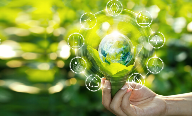 El establecimiento de los Comités para la Sustentabilidad.