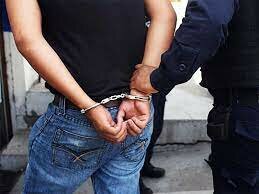 Articulo 19 Constitucional Reformado