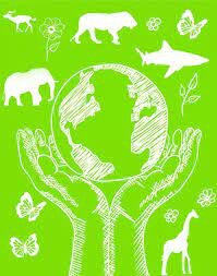 SE CREA LA SOCIEDAD PARA LA CONSERVACIÓN DE LA NATURALEZA