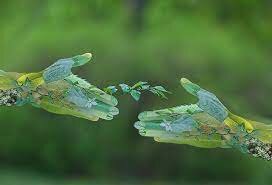 CONVENCIÓN PARA LA PROTECCIÓN DE LA FLORA, FAUNA Y BELLEZAS ESCÉNICAS NATURALES DE LOS PAÍSES DE AMÉRICA (CITES) WASHINGTON) .