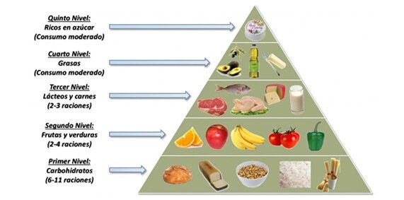 En EUA se diseña primer pirámide alimentaria
