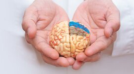 Timeline: Act.1. Neuropsicología Clínica