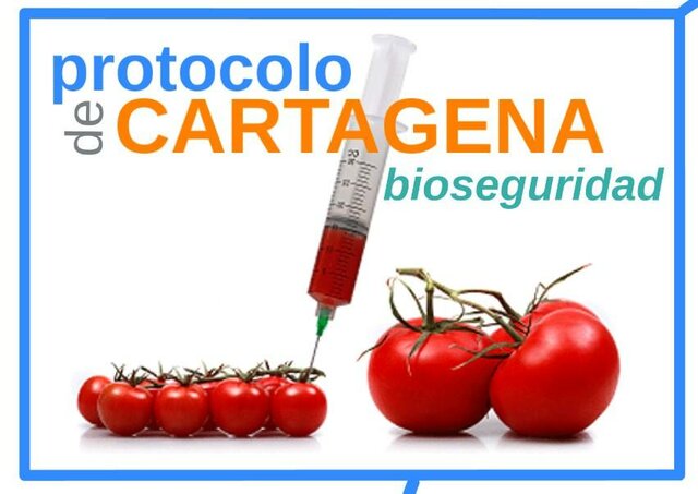 Protocolo de Cartagena sobre Bioseguridad