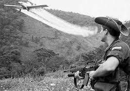 Lucha contra el narcotrafico