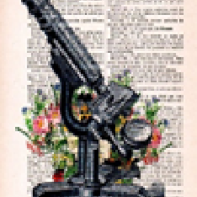 Timeline: El origen de la biología. (JLCT Y NMZG 2° 4)