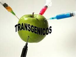 DECLARACIÓN LATINOAMERICANA SOBRE ORGANISMOS TRANSGÉNICOS