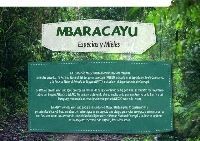 PRIMERA RESERVA DE LA BIÓSFERA. BOSQUE MBARACAYÚ