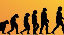 Timeline: Posturas de la evolución