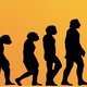 Darwin evolucion recortada 1