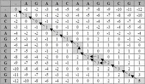 Primer algoritmo para alineamiento de secuencia de proteínas. por Needleman y Wunsch