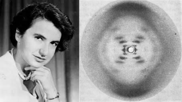Rosalind Franklin obtiene la fotografía 51