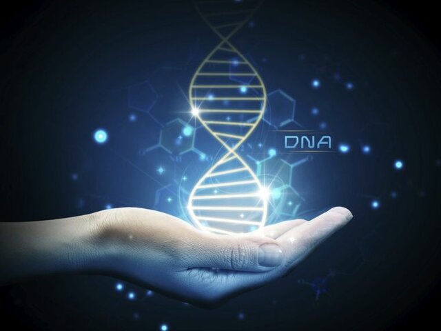 Se publica el genoma humano