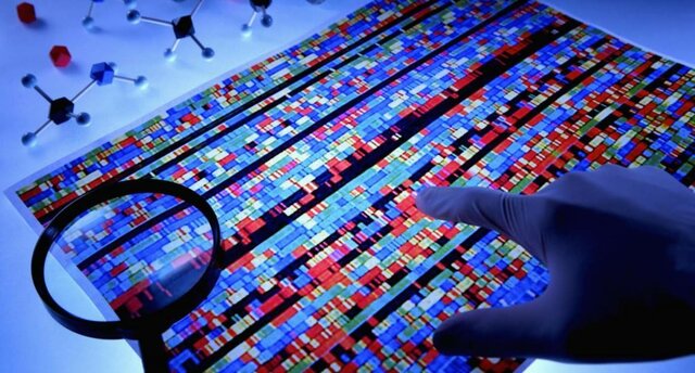 Se completó la secuencia del genoma humano