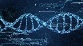 Timeline: BIO INFORMÁTICA