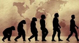 Timeline: Teorías de la evolución