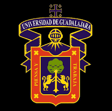 Comienzo a estudiar la preparatoria