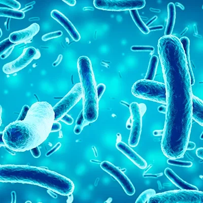 Timeline: Historia de la microbiología