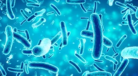 Timeline: Historia de la microbiología