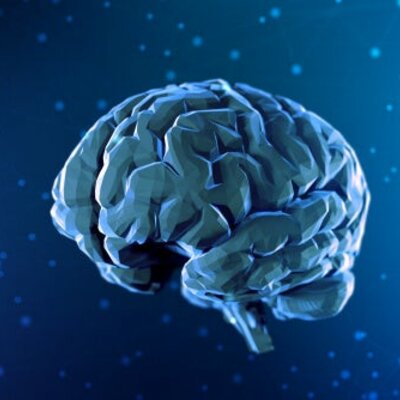 Timeline: Historia de las Neurociencias