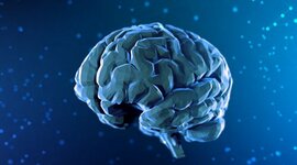 Timeline: Historia de las Neurociencias