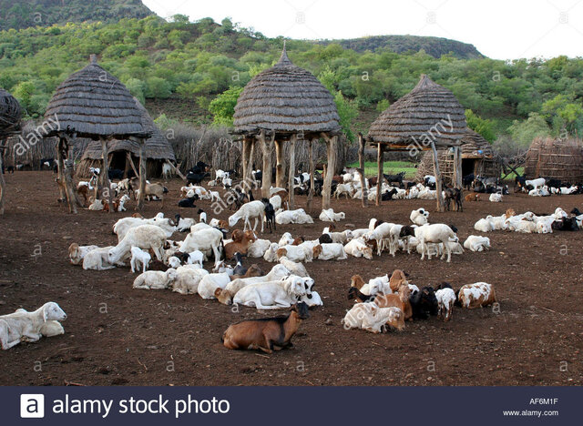 Producción de leche caprina internacional