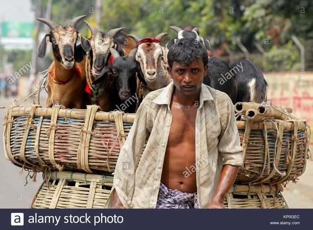 Producción de leche caprina internacional