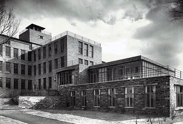 LOS ORIGENES (1950-1960)