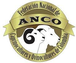 ANCO