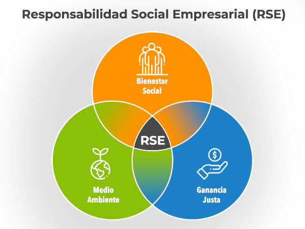 Desarrollo de la RSE.