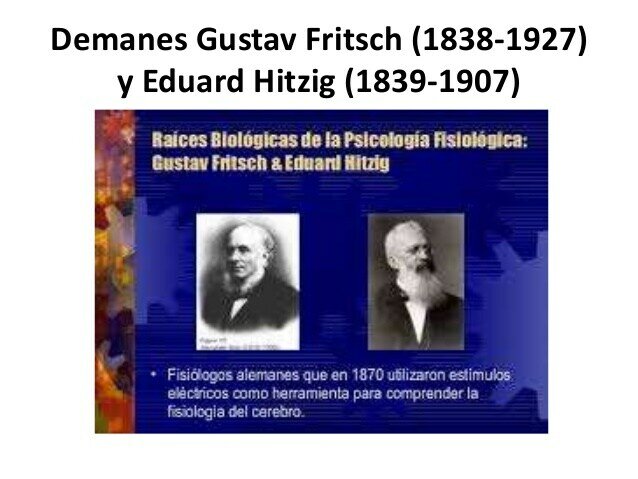 Gustav Fritsch y Edward Hitzig