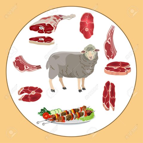 Producción de carne