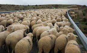 Estudios Cientificos