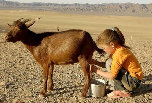 Distribucion por el pais