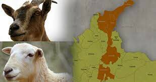 Legada de Españoles