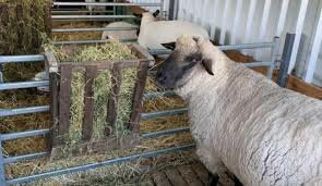 Interés Zootécnico