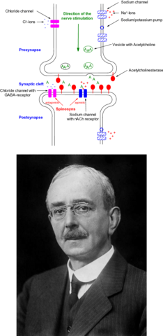 Charles Scout Sherrington