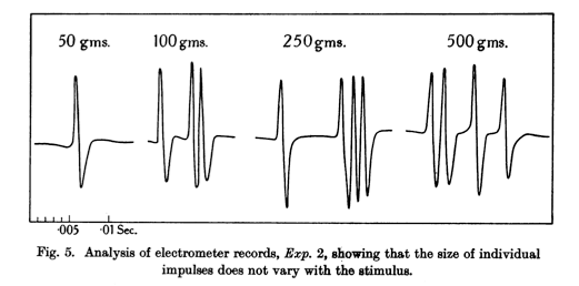 Edgar Douglas Adrian