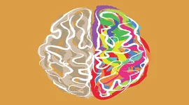 Timeline: Etapas del desarrollo de la neuropsicología
