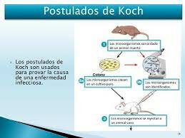 La Teoria Microbiana