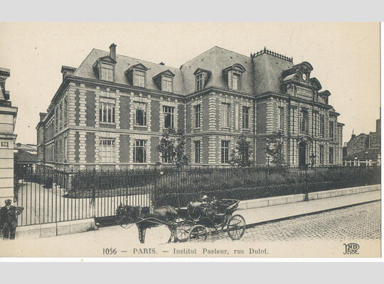 Fundación del Instituto Pasteur