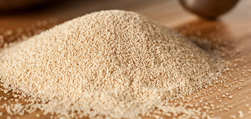 Descubrimiento de la levadura