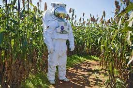 Cultivo no Espaço cideral