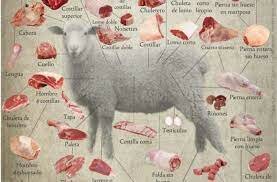 Produccion nacional de carne ovina