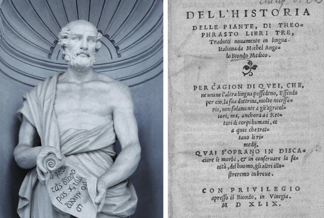 Teofrasto de Ereso "El padre de la Botánica"