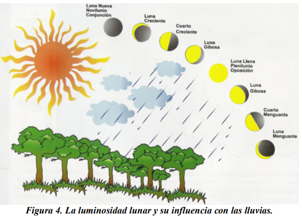 La teoría cósmica o sideral
