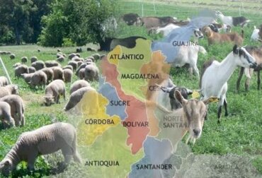Los departamentos de Boyacá, Cundinamarca,  Antioquia y Tolima