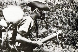 La Bonanza Marimbera